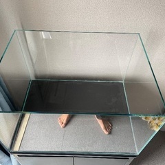 ガラス水槽ADA キューブガーデン W600×D450×H36セットの画像