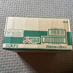 ［アミューズメント商品］三ツ矢サイダー250ml✖️20本入りの画像