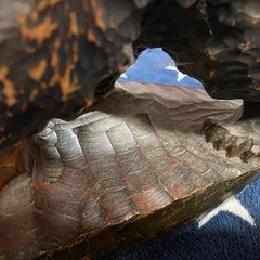 くまの熊の木彫りの画像