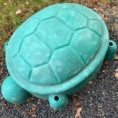 🐢亀の砂場🐢の画像