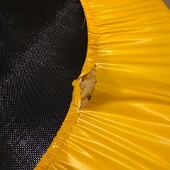 トランポリン大型100㎝の画像