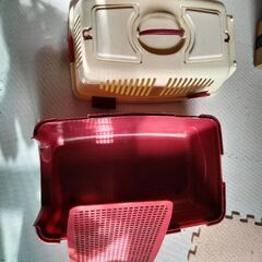 猫のキャリアですの画像