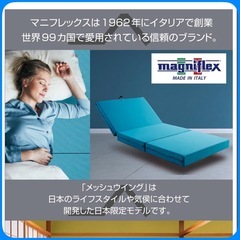 マニフレックス 三つ折りマットレスの画像