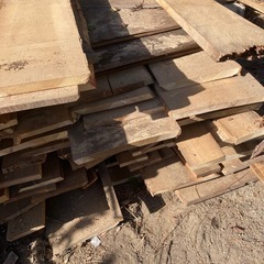 木材差し上げますの画像