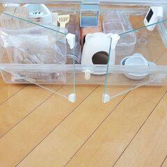 ハムスター飼育キット（諸々）の画像