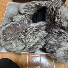 ショールの画像