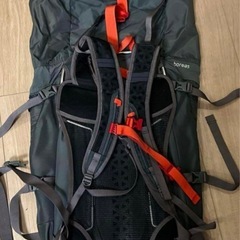 Bernalバックパックの画像