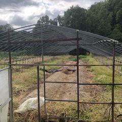 ビニールハウスの画像