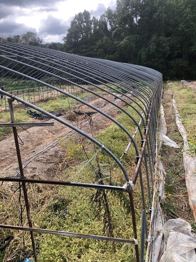 ビニールハウス