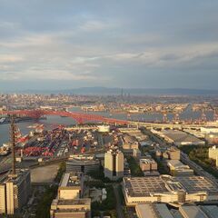 本日11月3日 どこか出かけませんか。