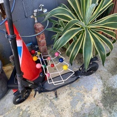 キックボードとハンガーラック　セットの画像