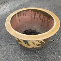 【交渉中】中国陶器　水蓮鉢の画像