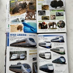  小学校の図鑑NEO2冊セットの画像