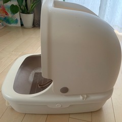 寝トイレの画像