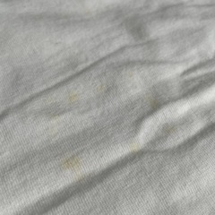 リアルジャパンプロレス　ラグランTシャツ(S)の画像