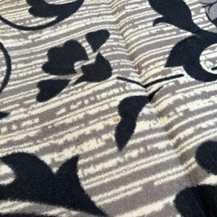 カーペットの画像