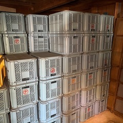 コンテナ 2個1,000円  農業／収穫用（中古品) 　10個4,500円  50個20,000円　   　の画像