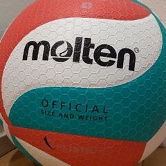 【ママさんバレー♪メンバー募集】祐天寺駅付近の小学校♪週1・木曜日