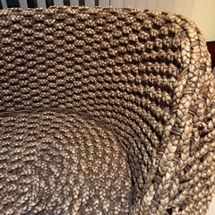 ウォーターヒヤシンス2人掛けソファの画像