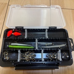 アジングセット　月下美人・レガリス等の画像