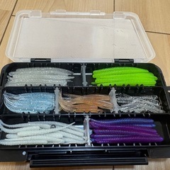 アジングセット　月下美人・レガリス等の画像