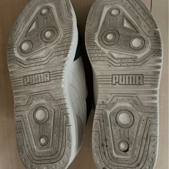 PUMAスニーカーの画像