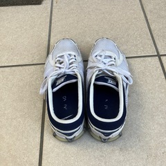 NIKE  ランニングシューズ　25㎝
の画像