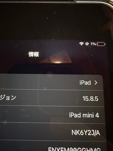 極美品　iPad mini4 16GB SIMフリー