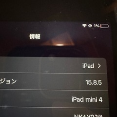 極美品　iPad mini4 16GB SIMフリーの画像