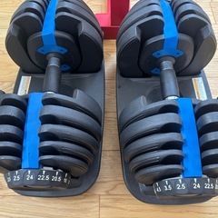 トレーニングセットの画像