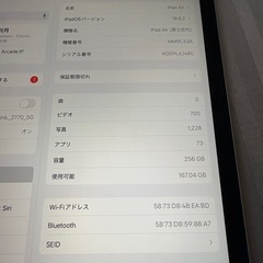 【ほぼ新品】iPad Air 5 256GB SIMフリーの画像
