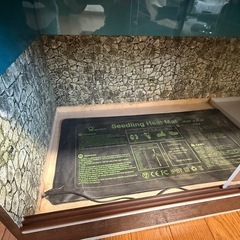 爬虫類等自作飼育ケージの画像