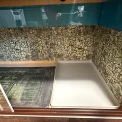 爬虫類等自作飼育ケージの画像