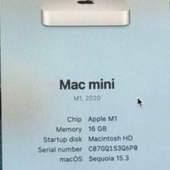 Apple Mac mini シルバー 16GB 1TBの画像