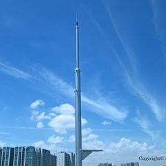 2人１組で避雷針工事✨✨の画像