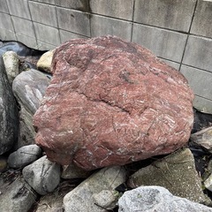 庭石
の画像