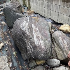 庭石
の画像