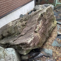 庭石
の画像