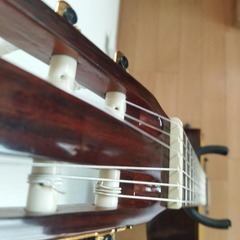 エレガットギター モーリス C-21C IIの画像