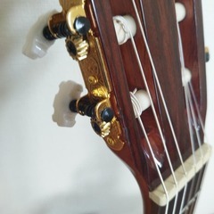 エレガットギター モーリス C-21C IIの画像