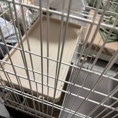 猫ケージの画像