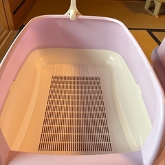 猫のシステムトイレ
の画像