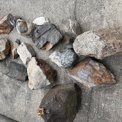 庭石の画像