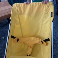 赤ちゃんバウンサーの画像