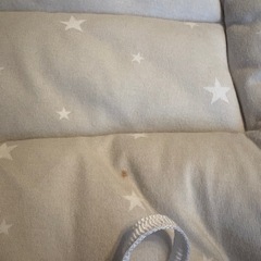 ベビーチェア用　クッションの画像