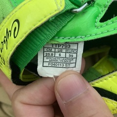 陸上短距離スパイク　サイバーレイの画像