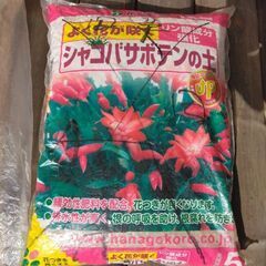 花、家庭菜園でお使い下さいませ。の画像