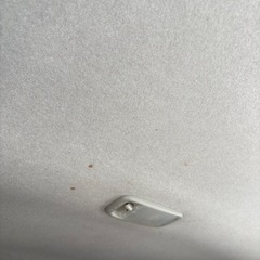 追加画像2の画像