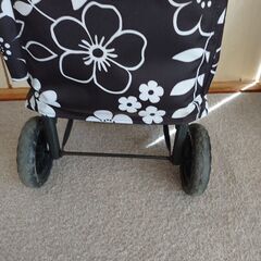 買い物カートたっぷり容量保冷機能の画像