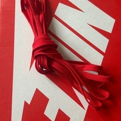 Nike Dunk High レッド/ホワイト 27.5 ナイキ ダンクの画像